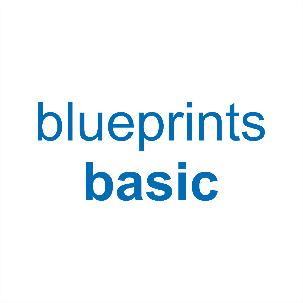 Blueprints Basic
